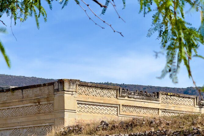 Monte Alban, Mezcal, Tule Tree and Wool Mats Tour - Private transportation and pacing: why this day feels manageable