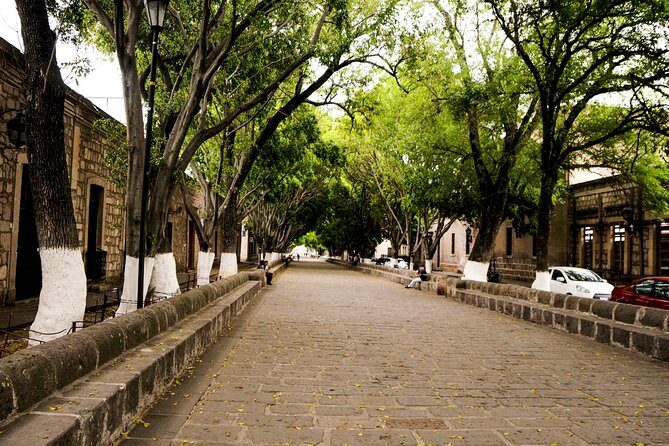 Morelia City Tour - Santuario de Guadalupe and Exconvento de San Diego
