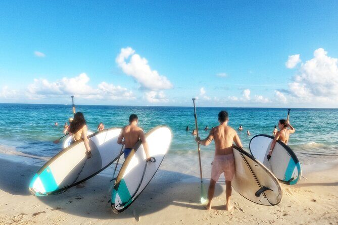 Morning Session - All Levels Paddleboard Group Caribbean Sea - On-water experience in the Caribbean: glide, photos, and group energy