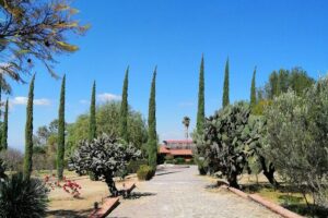 Morning Tour and Olive product tasting - Finca Luna Serena: what you learn before you taste