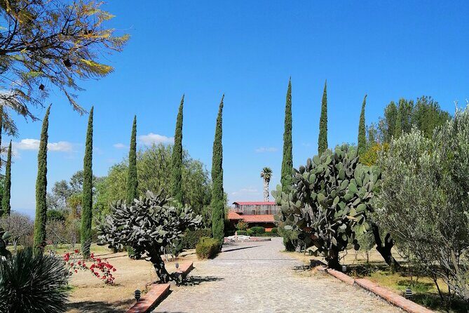 Morning Tour and Olive product tasting - Finca Luna Serena: what you learn before you taste