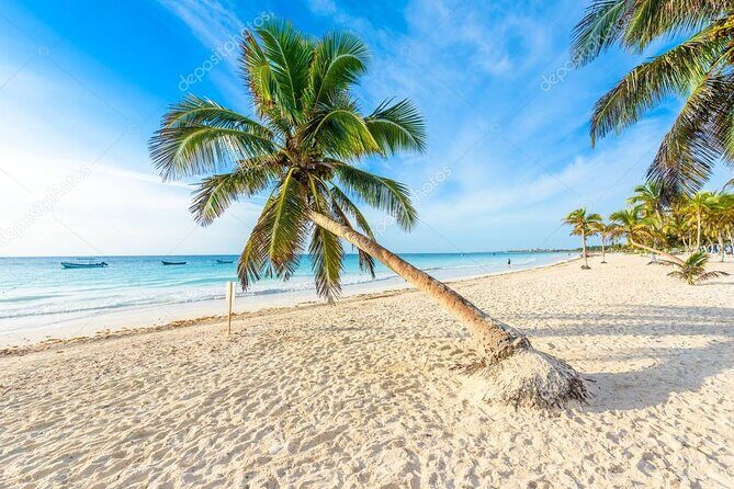 Mother Nature, Tulum and beach paradise with lunch - Cenote Wayak: lunch, swim time, and what to bring