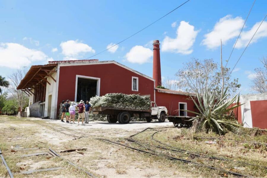 Motul, Hacienda, Xcambo, Pink Salt Mine & Progreso Day Trip - Xcambó archaeological zone: Maya life beyond the postcard