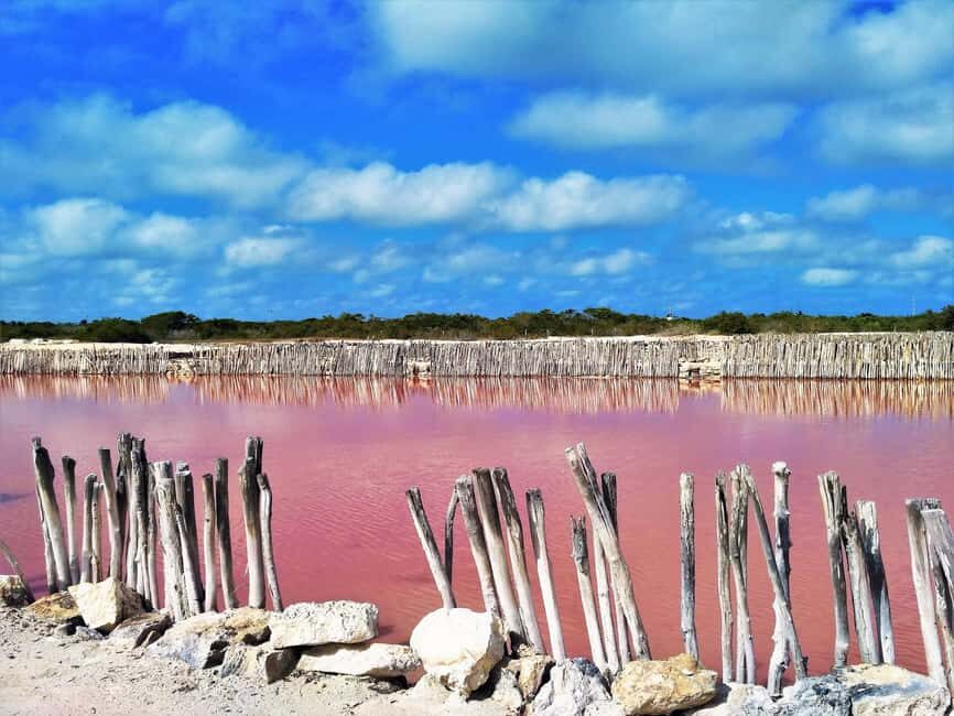 Motul, Hacienda, Xcambo, Pink Salt Mine & Progreso Day Trip - Price and the real cost picture (what’s included vs. extra)