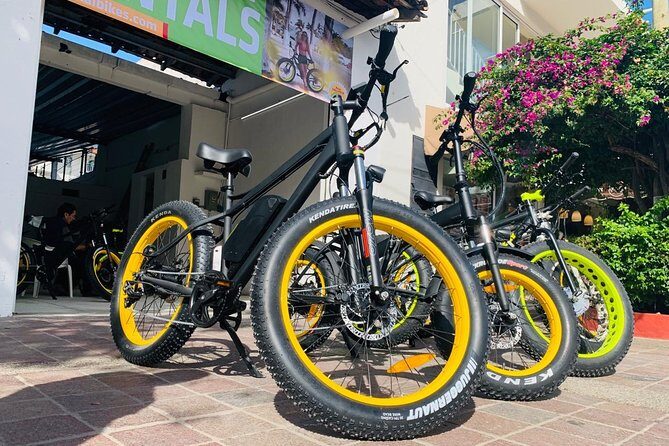 Mountain Tour Puerto Vallarta Electric Bikes - Malecon Sculptures: The Pretty, Easy Part Before the Climb