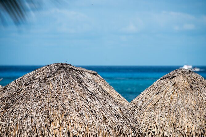 Mr. Sanchos Beach Club All-Inclusive Day Pass - Getting There From the Pier: Taxi Is on You