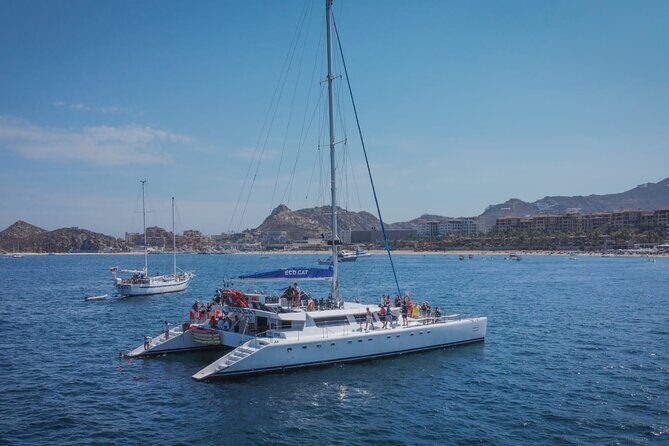 Multimillion Yacht Cabo Cruise Sunset or Snorkel Optional PICKUP! - Whales, fish, and realism: what you can expect (and what you can’t)