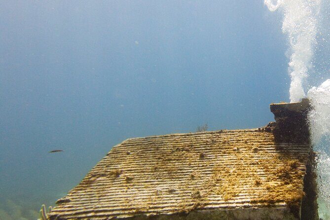 MUSA Museum and Colorful Reef 2 Tank Dive-Certified Divers - Getting There in Isla Mujeres: From Aqua Adventures to the Boat