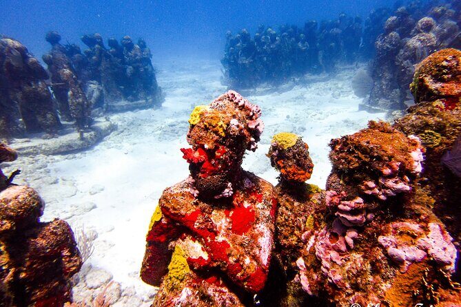 MUSA Museum and Colorful Reef 2 Tank Dive-Certified Divers - Site Stop 1: MUSA Underwater Museum of Art at 9m/30ft