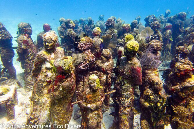 MUSA Museum and Colorful Reef 2 Tank Dive-Certified Divers - The Team: Why Guides Like Nina and Sebastian Matter