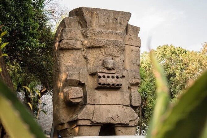 Museum of Anthropology skip the line tour for Families & Groups - Price and value: $310 per group up to 6