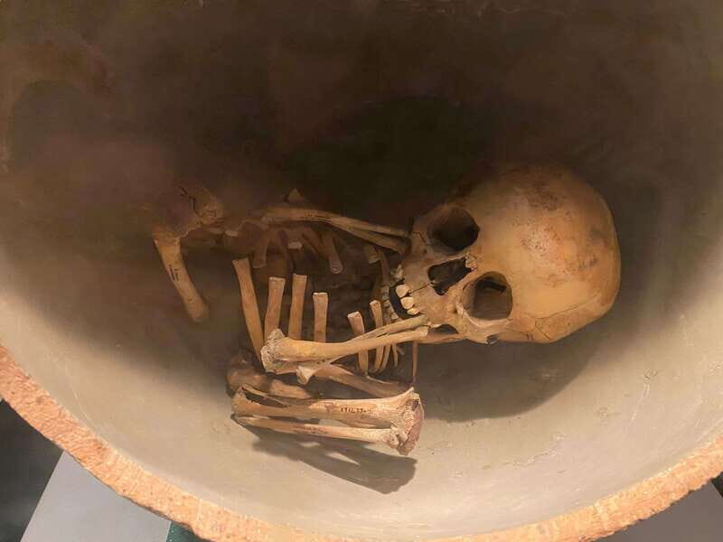 National Museum of Anthropology: a journey into Mexico's past - English lang. - Why this museum tour feels like a mini class