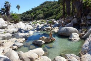 Natural Hot Springs Experience - Private Pickup, Air-Conditioned Comfort, and Real Flexibility