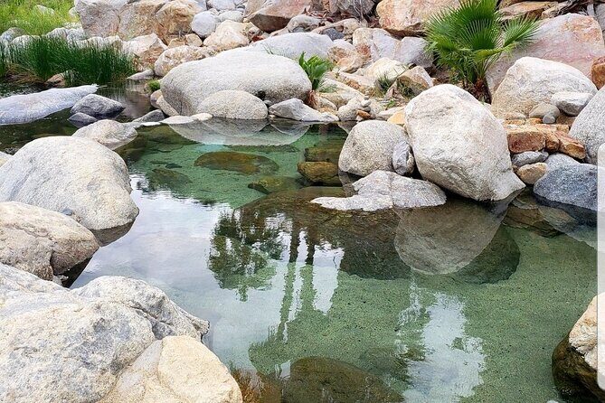 Natural Hot Springs Experience - Sierra de la Laguna: Flora, Animals, and Local Culture on the Move