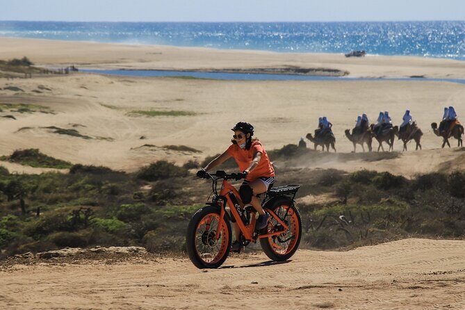 New Attraction: Guinness World Record Sky Bike in Los Cabos - Price and Logistics: Is $84 a Good Deal?