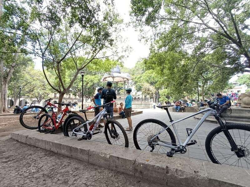 Oaxaca City: Bike Tour with Professional Guide+Art workshop - The guiding style: bilingual stories plus real traffic help