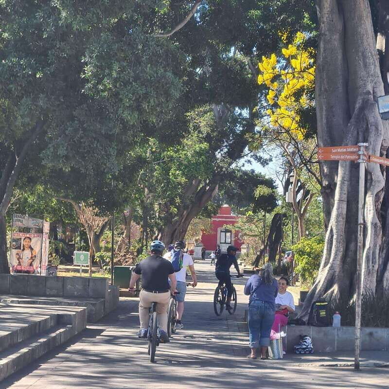 Oaxaca City: Bike Tour with Professional Guide+Art workshop - El Llano: fast access to a different side of the city
