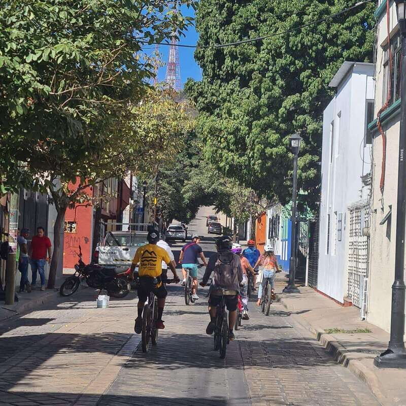 Oaxaca City: Bike Tour with Professional Guide+Art workshop - Barrio de Xochimilco: more culture, less tourist-only routing