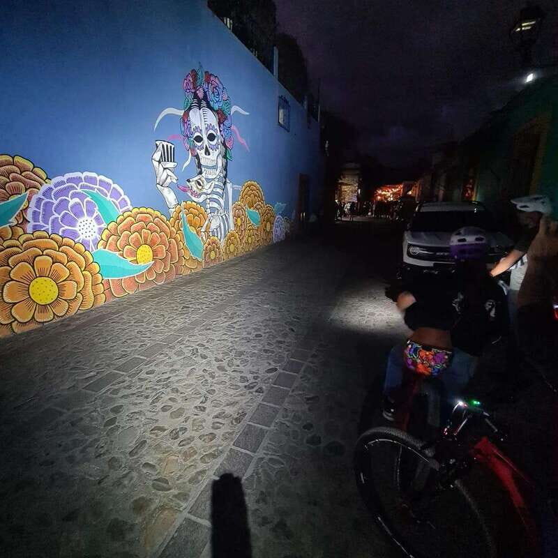 Oaxaca City: Bike Tour with Professional Guide+Art workshop - Santo Domingo: a major landmark moment at the right time