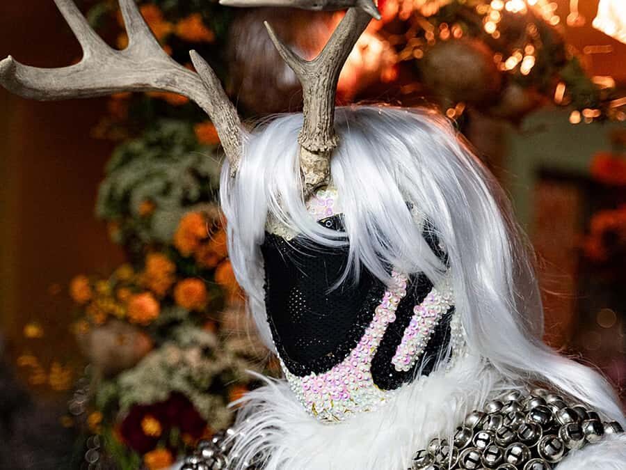 Oaxaca: Day of the Dead Tour - Guides, communication, and what to expect from English