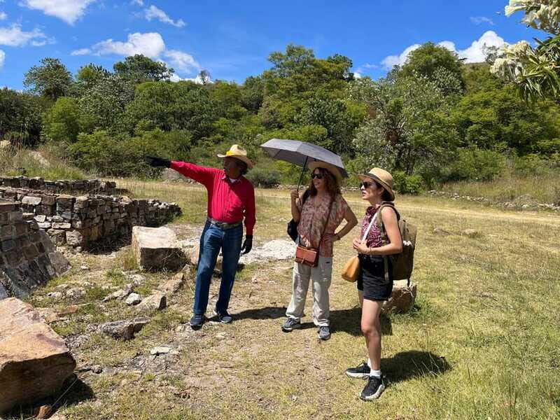 Oaxaca de Juarez: Monte Alban Half-Day Tour - Price and Value: $31 Makes Sense If You Plan for the Ticket