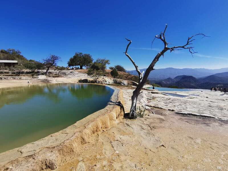 Oaxaca: Full Day Guided Tour on the Hierve el Agua Route - Mezcal tasting: a guided sampler with production context