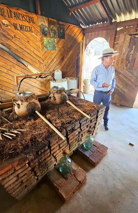 Oaxaca: full-day tour of Monte Alban, ancestral mezcal, alebrijes, and black mud - Price and Value: The $40 Base Plus On-Site Entry Fees