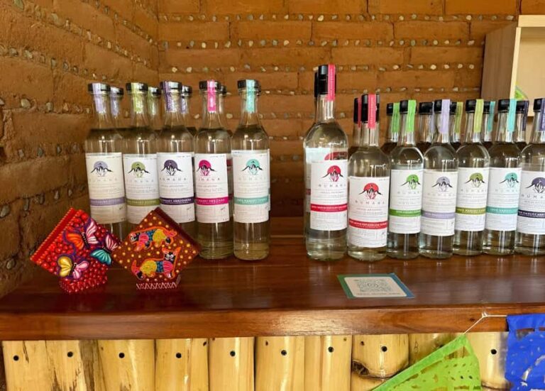 Oaxaca: full-day tour of Monte Alban, ancestral mezcal, alebrijes, and black mud - Alebrijes in San Antonio Arrazola: Craft That Looks Like Imagination