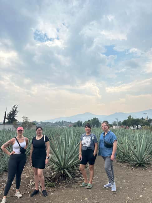Oaxaca: Hierve el Agua & Mezcal Distillery Small-Group Tour - Hierve el Agua: Natural Pools, Slippery Steps, and Real Time to Explore