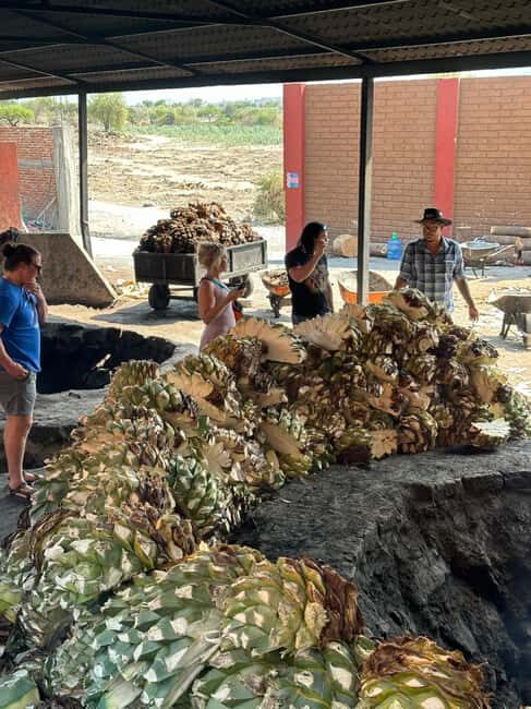 Oaxaca: Hierve el Agua & Mezcal Distillery Small-Group Tour - Who This Tour Fits Best (and Who Should Skip It)