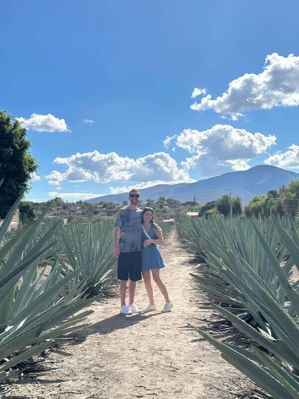 Oaxaca: Hierve el Agua & Mezcal Distillery Small-Group Tour - What the Schedule Feels Like in Real Life