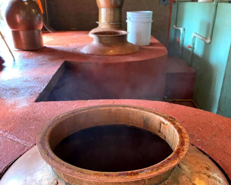 Oaxaca: Mezcal Adventure - Tasting on-site: how to taste like you’ve been doing it longer