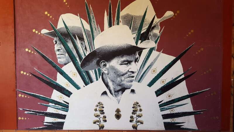 Oaxaca: Mezcal Adventure - Guides and transport: what to expect from the “how”