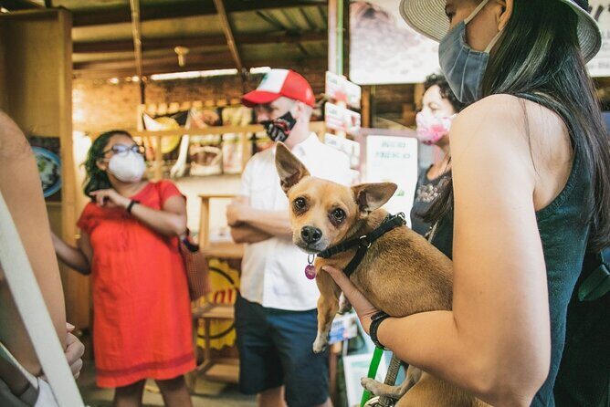 Oaxaca Street Food Tour. Signature Markets Tour - Stop by stop: how the day flows through Oaxaca markets