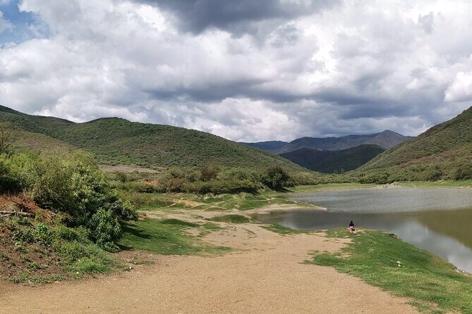 Oaxaca to Tule Tree Bike Tour - 6 hours - You Need Bike Experience and Some Push in Your Legs