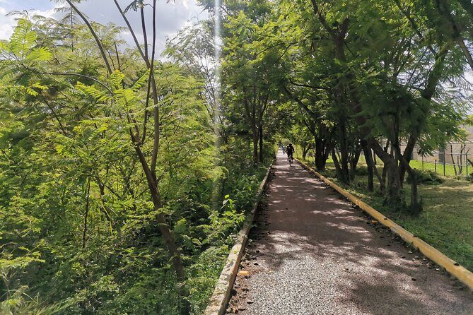 Oaxaca to Tule Tree Bike Tour - 6 hours - Stop 1: Santa Maria del Tule Road Run from the Continental Itsmo Tours Office