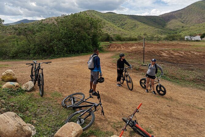 Oaxaca to Tule Tree Bike Tour - 6 hours - Guides and Small Group Size: Why the Tour Feels Personal