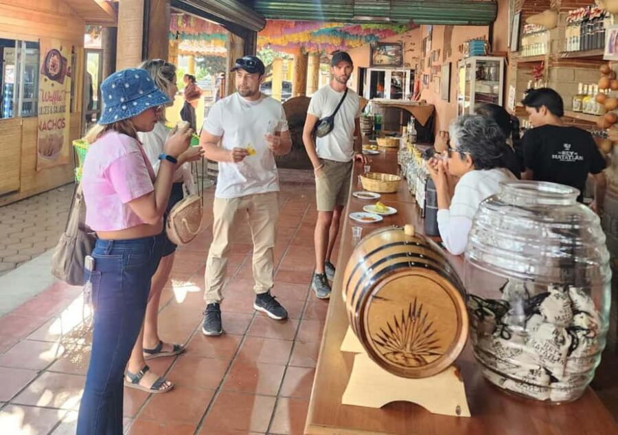 Oaxaca: Tule, Mitla & Hierve el Agua, & Mezcal Tour - A Smooth Door-to-Door Oaxaca Day Trip