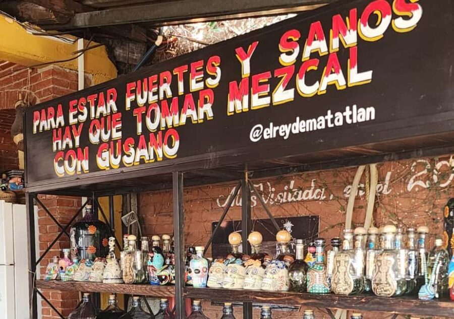 Oaxaca: Tule, Mitla & Hierve el Agua, & Mezcal Tour - Transport, Comfort, and Pacing: It’s Efficient, Not Leisurely