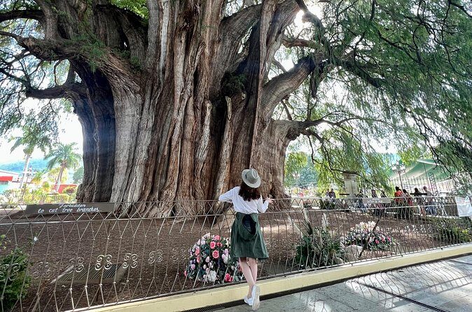 Oaxacan Journey - Santa Maria del Tule and the world’s widest tree