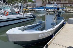 Ocean Eco Adventure with Marine Biologist Guides - Dolphins, sea turtles, manta rays, and whales: what you can reasonably hope for