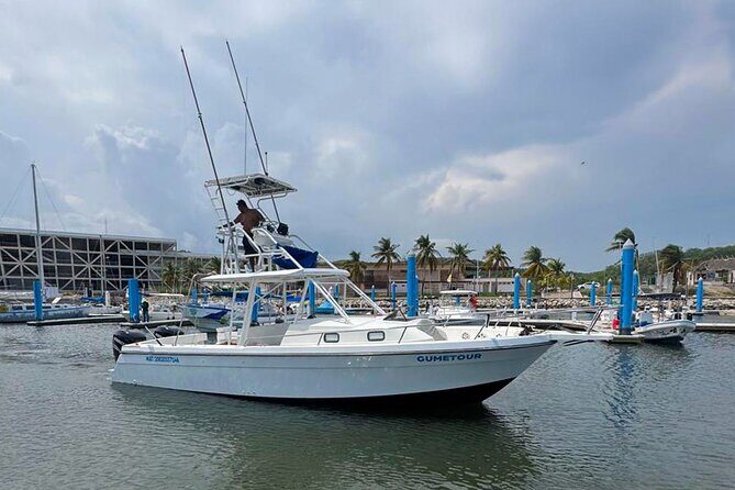 Ocean Eco Adventure with Marine Biologist Guides - Timing, whales season, and weather reality