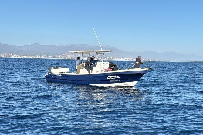 Ocean Safari in San Jose del Cabo - Snorkeling with close guidance: what happens when the ocean says yes