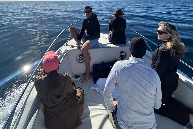 Ocean Safari in San Jose del Cabo - Price and value: is $200 worth it?