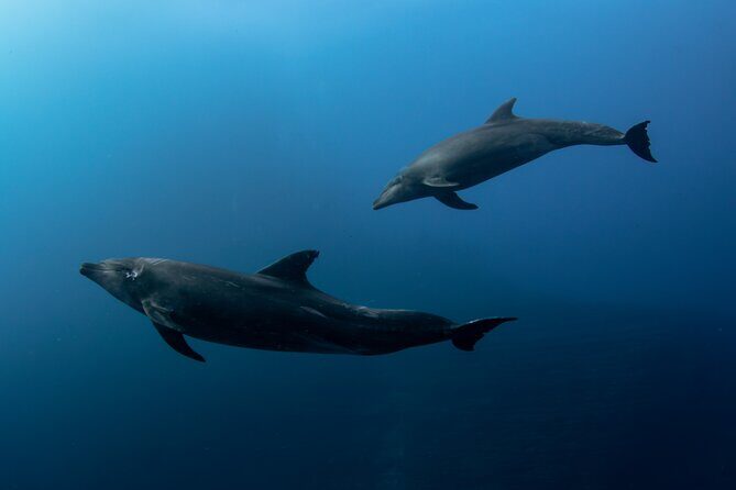 Ocean Safari in San Jose del Cabo - Leaving La Playita: what your 8:00 am start really means