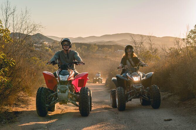 Off Road Tour Experience plus Winery visit in Baja - The 2-Hour Flow: How the Ride and Vineyard Stops Fit Together