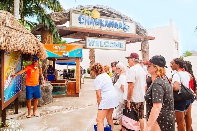 Official Chankanaab Beach Park Day pass with Snorkel - Stop 2 and Stop 3: the reef swim in a protected Cozumel zone