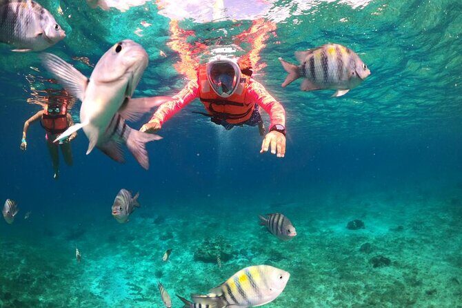 Official Chankanaab Park Day pass and Snorkel with Lunch included - Why Chankanaab fits a 3-hour Cozumel plan