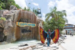 Official Chankanaab Park Day pass and Snorkel with Lunch included - Reef snorkeling with guided support and included gear