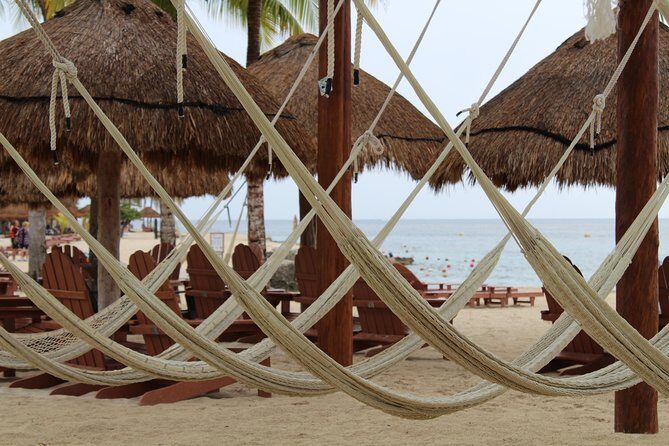 Official Chankanaab Park Day pass and Snorkel with Lunch included - Sea lion show and tequila: quick culture without leaving the park